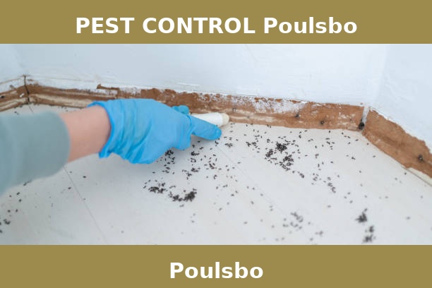 PEST CONTROL Poulsbo